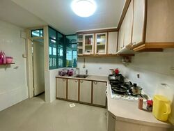 Astor Green (D21), Condominium #581869351